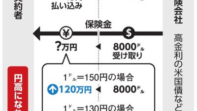 三井 住友 信託 銀行 外貨 建て 保険